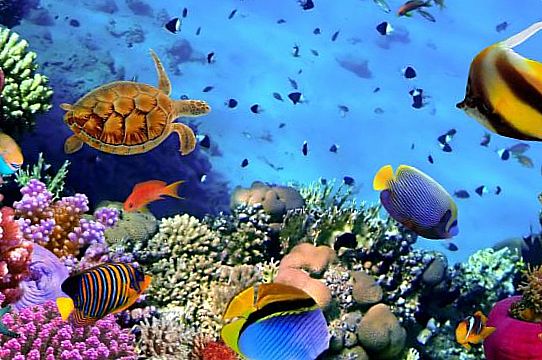 ������� ����, ������: 7 000 ������ �� ����������