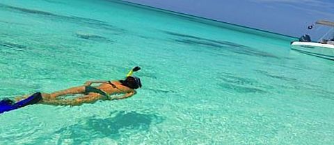 ������� ����� � ������, ������: 26 000 ������ � ��������